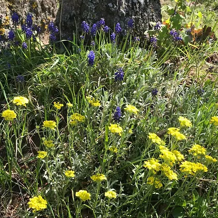 La Roulotte Au Fond Du Pré Maison d'hôtes *